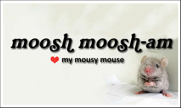 moosh moosham, my mouse