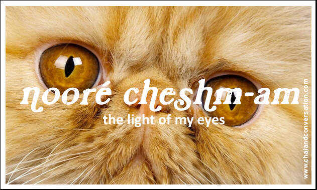 noore cheshmam, the light of my eyes