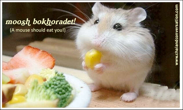 moosh bokhoradet, a mouse should eat you