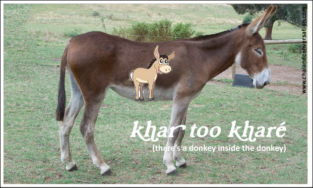 khar too khareh, there&#039;s a donkey in the donkey