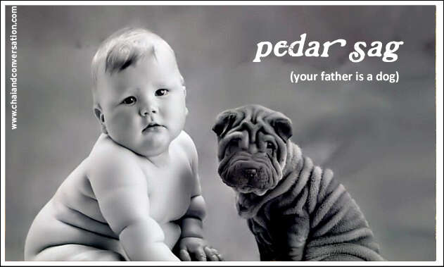 pedar sag, father dog