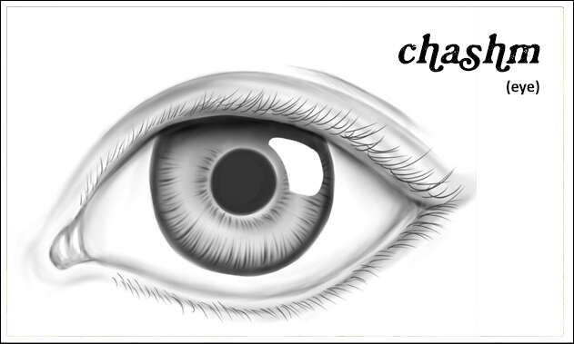 chashm, eye