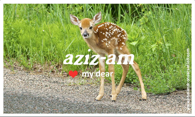 azizam, my dear