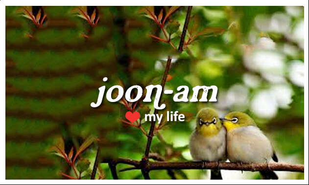 joonam, my life