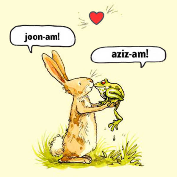 Azizam And Joonam What Do They Mean
