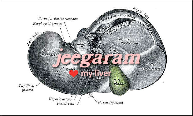 jigaram, my liver